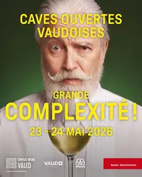 Sorties du week-end à Lausanne