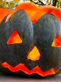 Halloween à Lausanne : programme